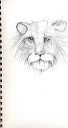 lion_head_baby